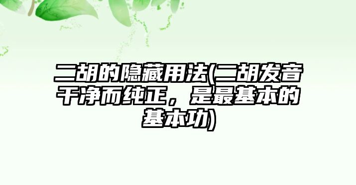 二胡的隱藏用法(二胡發(fā)音干凈而純正，是最基本的基本功)