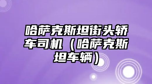 哈薩克斯坦街頭轎車司機(jī)（哈薩克斯坦車輛）