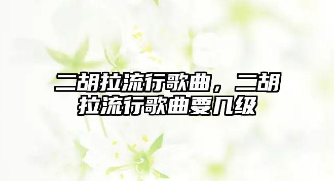 二胡拉流行歌曲，二胡拉流行歌曲要幾級