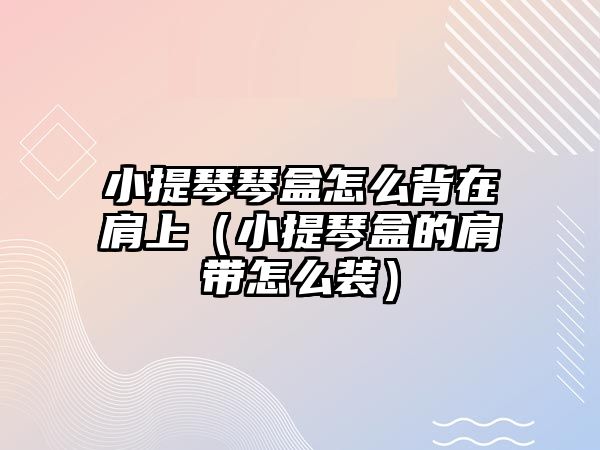 小提琴琴盒怎么背在肩上（小提琴盒的肩帶怎么裝）