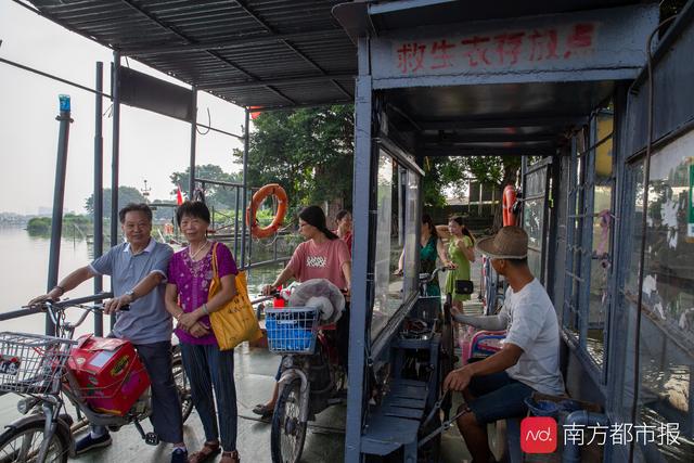 鮮為人知！廣佛交界處藏著一把白色“小提琴”，本土建筑師設計