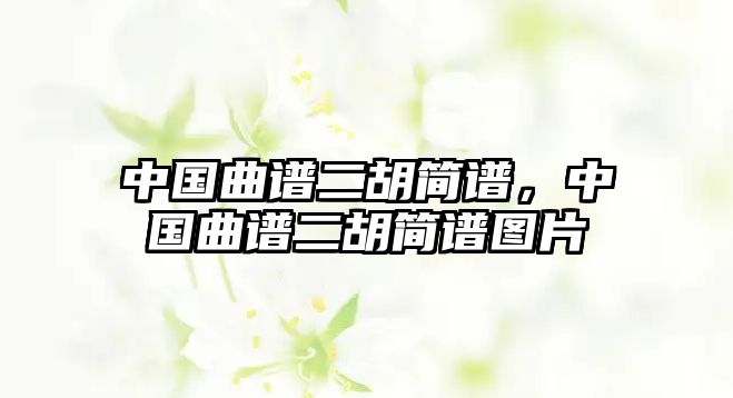 中國曲譜二胡簡譜，中國曲譜二胡簡譜圖片