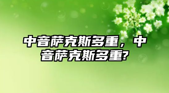 中音薩克斯多重，中音薩克斯多重?