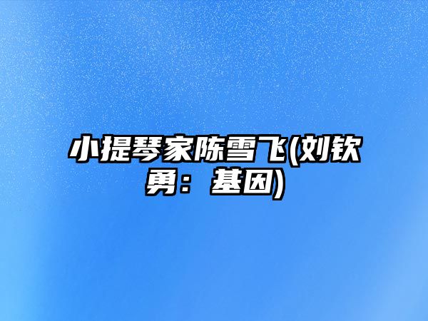 小提琴家陳雪飛(劉欽勇：基因)