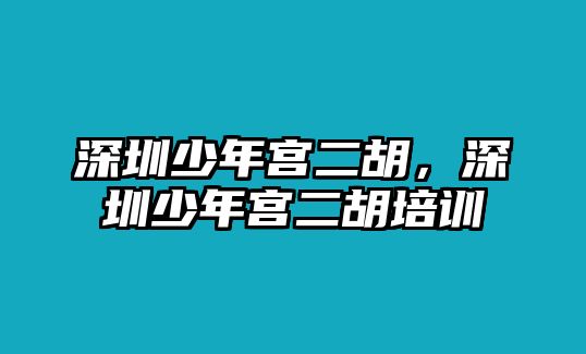 深圳少年宮二胡，深圳少年宮二胡培訓