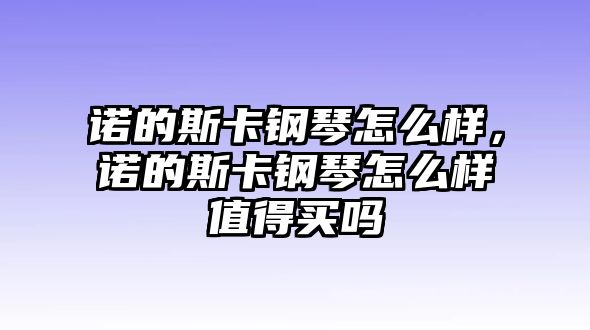 諾的斯卡鋼琴怎么樣，諾的斯卡鋼琴怎么樣值得買嗎