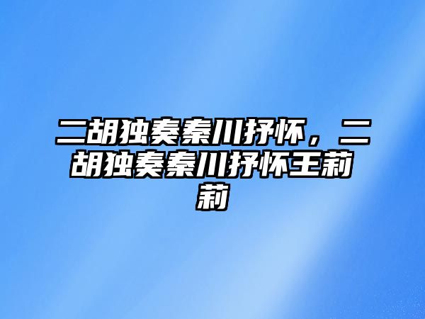 二胡獨奏秦川抒懷，二胡獨奏秦川抒懷王莉莉