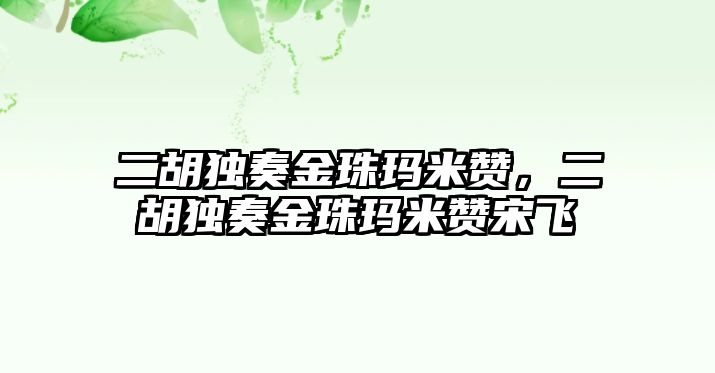 二胡獨奏金珠瑪米贊，二胡獨奏金珠瑪米贊宋飛