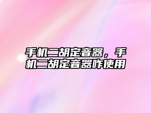 手機二胡定音器，手機二胡定音器咋使用