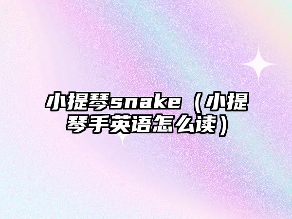 小提琴snake（小提琴手英語怎么讀）