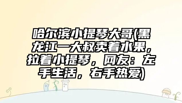 哈爾濱小提琴大哥(黑龍江一大叔賣著水果，拉著小提琴，網友：左手生活，右手熱愛)