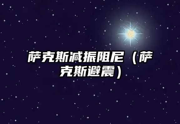 薩克斯減振阻尼（薩克斯避震）