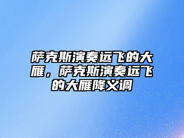 薩克斯演奏遠飛的大雁，薩克斯演奏遠飛的大雁降義調