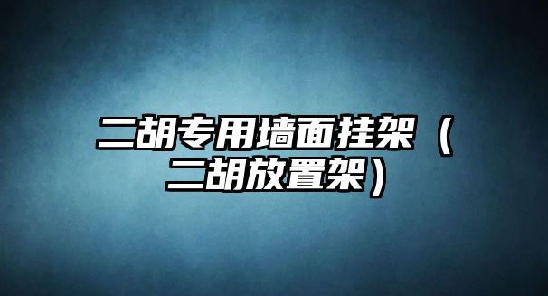 二胡專用墻面掛架（二胡放置架）