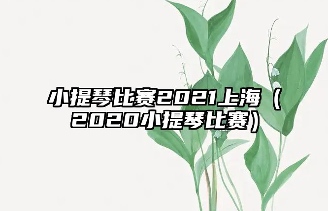 小提琴比賽2021上海（2020小提琴比賽）