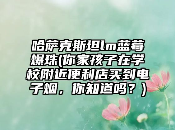 哈薩克斯坦lm藍(lán)莓爆珠(你家孩子在學(xué)校附近便利店買到電子煙，你知道嗎？)