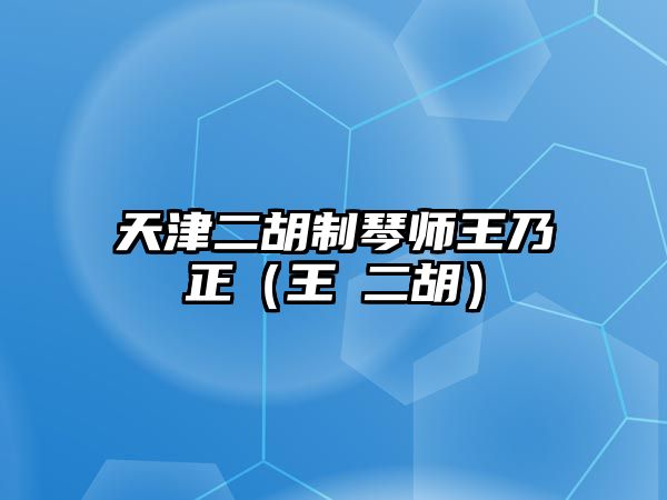 天津二胡制琴師王乃正（王堃二胡）