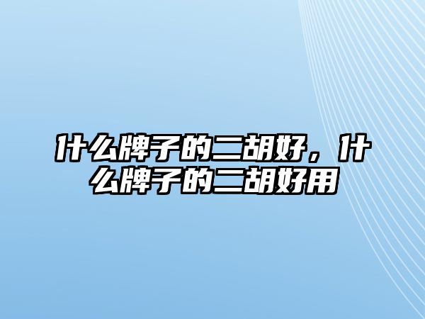 什么牌子的二胡好，什么牌子的二胡好用