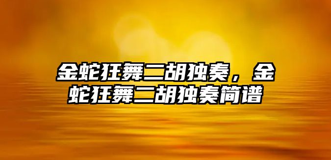 金蛇狂舞二胡獨奏，金蛇狂舞二胡獨奏簡譜