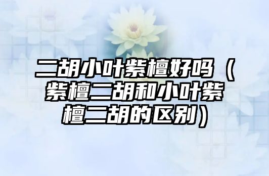 二胡小葉紫檀好嗎（紫檀二胡和小葉紫檀二胡的區(qū)別）