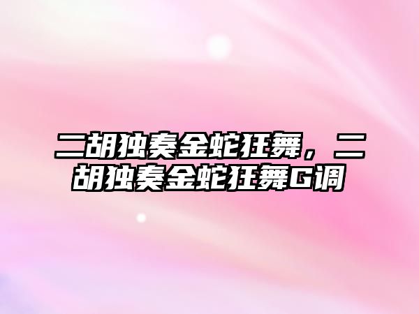 二胡獨奏金蛇狂舞，二胡獨奏金蛇狂舞G調