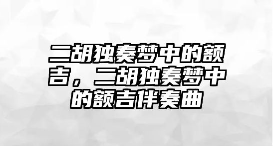 二胡獨奏夢中的額吉，二胡獨奏夢中的額吉伴奏曲