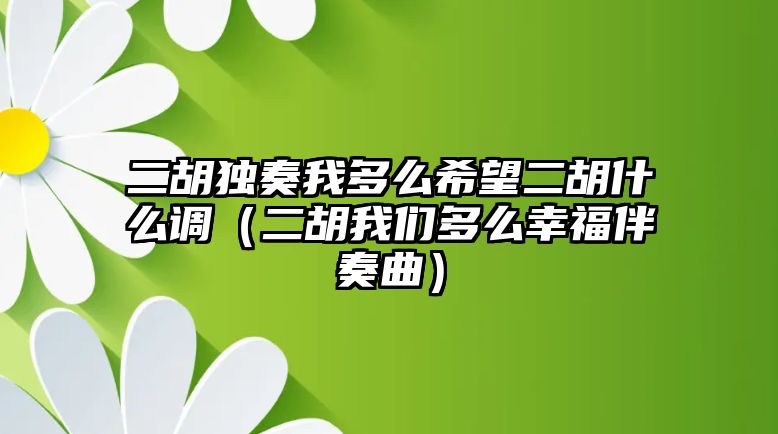 二胡獨奏我多么希望二胡什么調（二胡我們多么幸福伴奏曲）