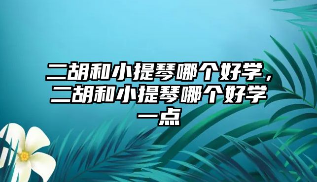 二胡和小提琴哪個好學，二胡和小提琴哪個好學一點