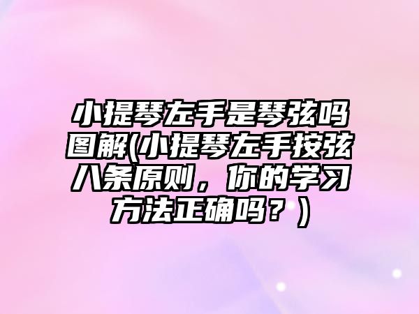 小提琴左手是琴弦嗎圖解(小提琴左手按弦八條原則，你的學習方法正確嗎？)