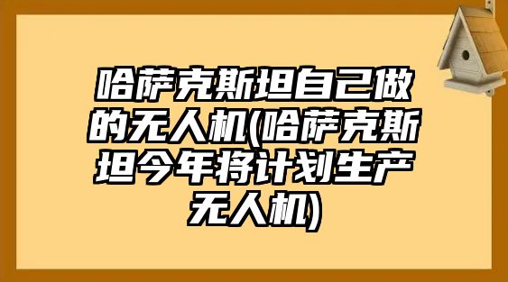 哈薩克斯坦自己做的無人機(哈薩克斯坦今年將計劃生產無人機)