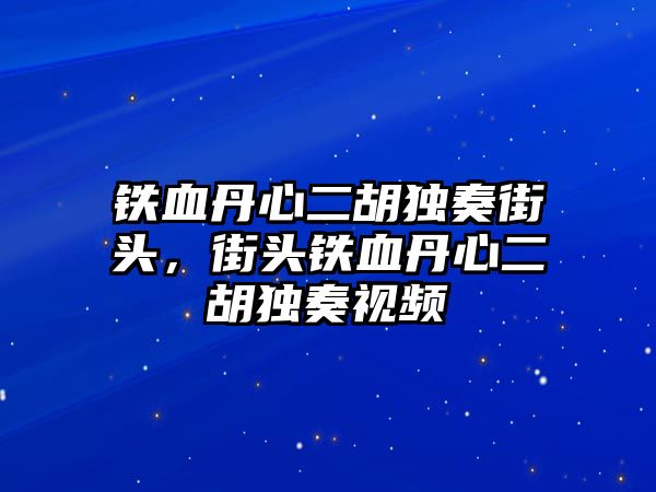 鐵血丹心二胡獨奏街頭，街頭鐵血丹心二胡獨奏視頻