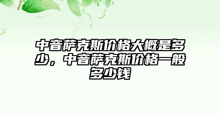 中音薩克斯價格大概是多少，中音薩克斯價格一般多少錢