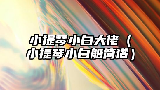 小提琴小白大佬（小提琴小白船簡譜）