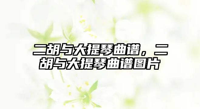 二胡與大提琴曲譜，二胡與大提琴曲譜圖片