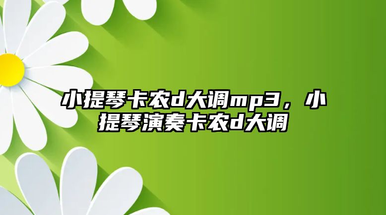 小提琴卡農d大調mp3，小提琴演奏卡農d大調