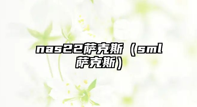 nas22薩克斯（sml薩克斯）