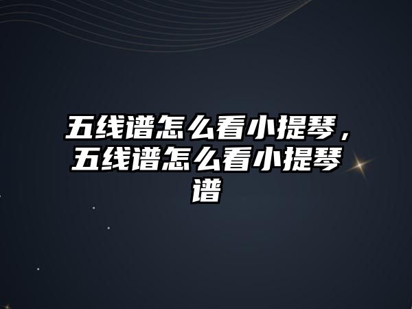 五線譜怎么看小提琴，五線譜怎么看小提琴譜