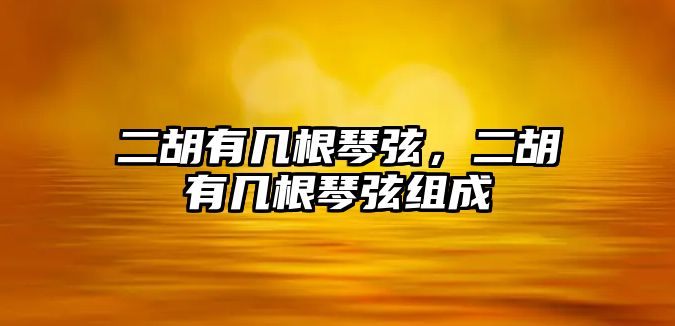 二胡有幾根琴弦，二胡有幾根琴弦組成