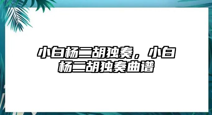 小白楊二胡獨奏，小白楊二胡獨奏曲譜