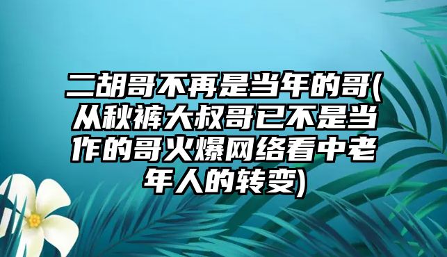 二胡哥不再是當(dāng)年的哥(從秋褲大叔哥已不是當(dāng)作的哥火爆網(wǎng)絡(luò)看中老年人的轉(zhuǎn)變)