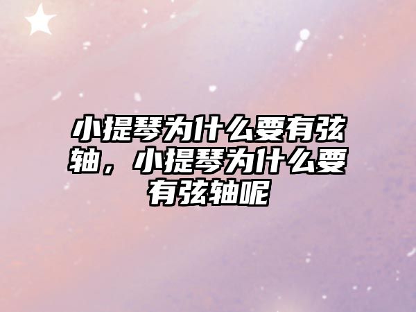 小提琴為什么要有弦軸，小提琴為什么要有弦軸呢