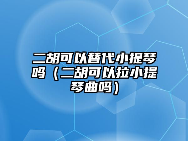 二胡可以替代小提琴嗎（二胡可以拉小提琴曲嗎）