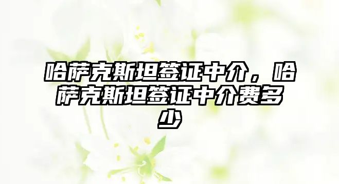 哈薩克斯坦簽證中介，哈薩克斯坦簽證中介費多少