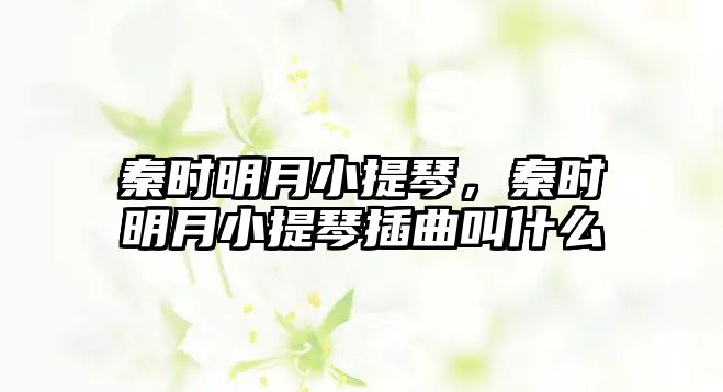 秦時明月小提琴，秦時明月小提琴插曲叫什么