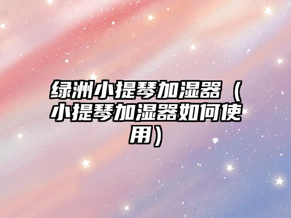 綠洲小提琴加濕器（小提琴加濕器如何使用）