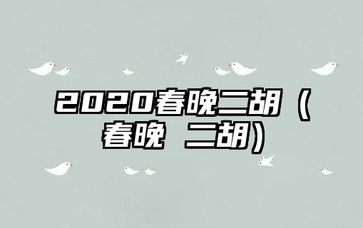 2020春晚二胡（春晚 二胡）