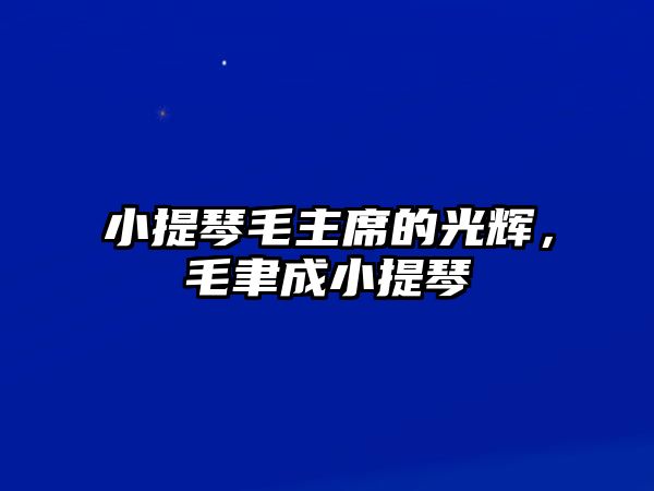 小提琴毛主席的光輝，毛聿成小提琴