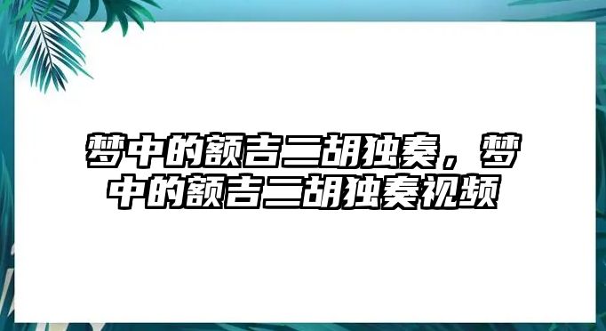 夢中的額吉二胡獨奏，夢中的額吉二胡獨奏視頻