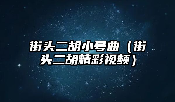 街頭二胡小號曲（街頭二胡精彩視頻）