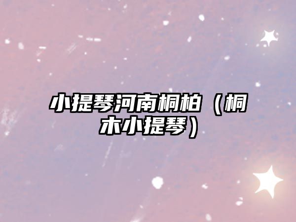 小提琴河南桐柏（桐木小提琴）